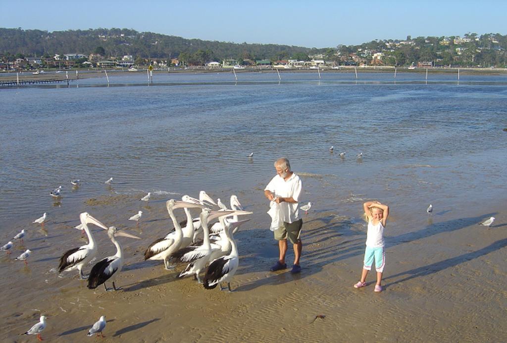 Nautilus Apartments Merimbula Luaran gambar